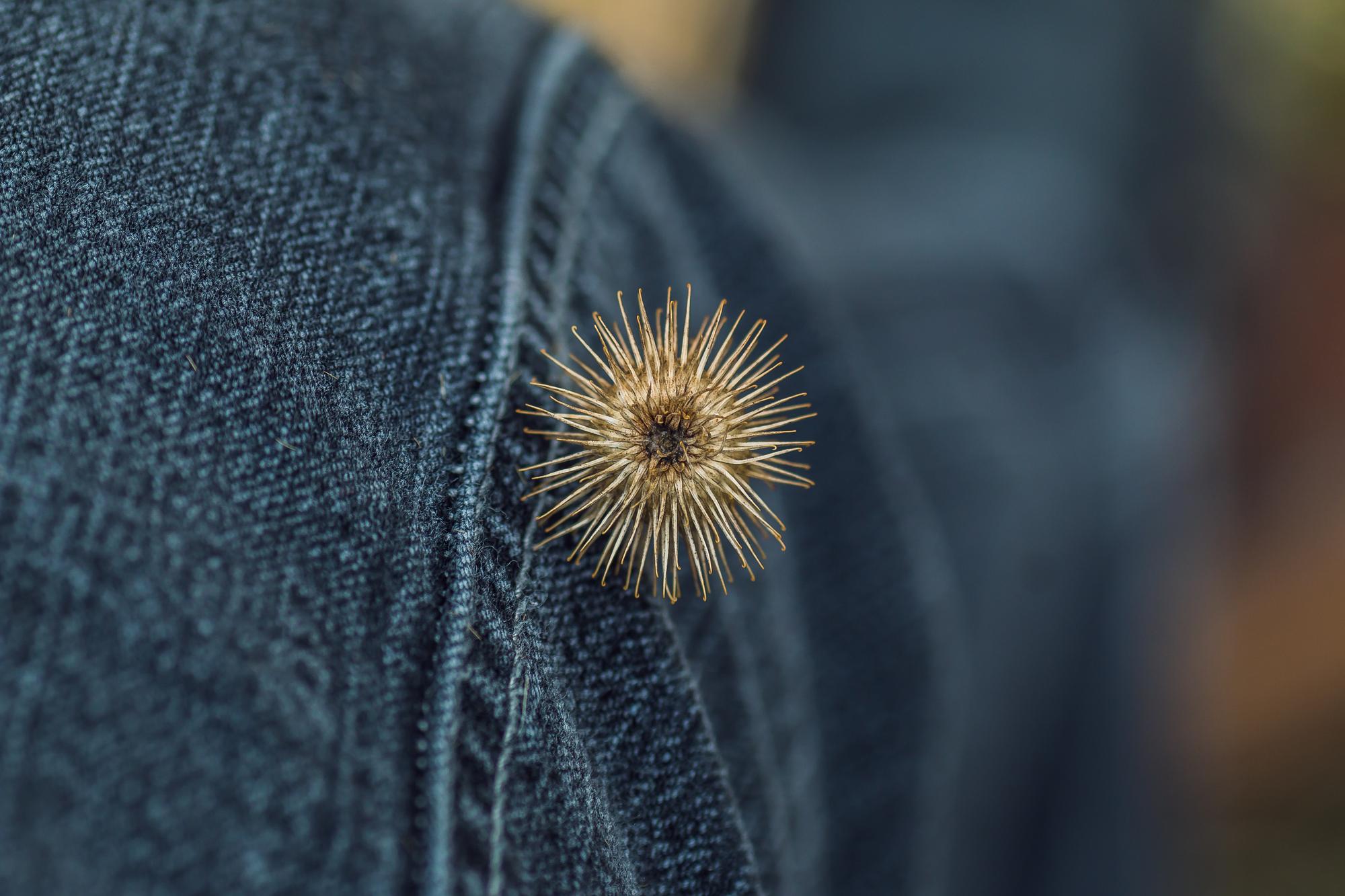 Embroidered jacket cuff detail